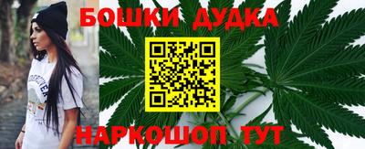индика Малгобек