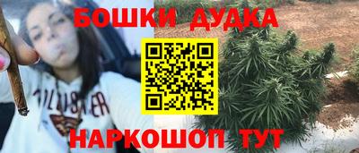 индика Малгобек