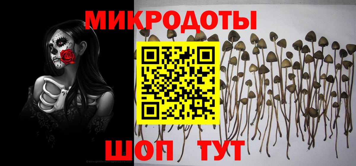 наркошоп  Псилоцибиновые грибы Cubensis  Вход с VPN  Псилоцибиновые грибы Psilocybine cubensis  Долгопрудный 